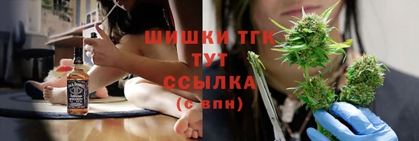 apvp Кукмор